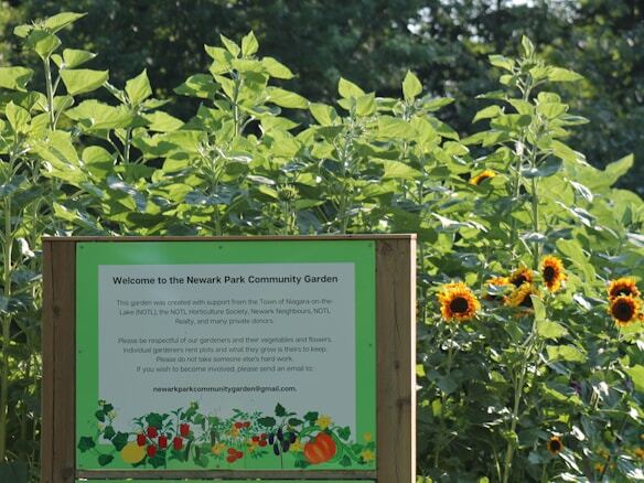 photo-1689870627130-126ff3760e6e photo-1689870627130-126ff3760e6e